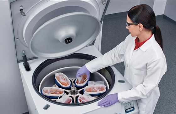Centrifuga refrigerata borsa diritta 6×1000ml 6000rpm del sangue del pavimento di CFL6R